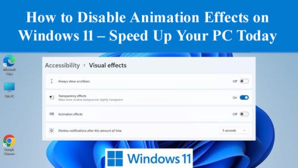 How to Disable Animation Effects on Windows 11 – Speed Up Your PC Today ...